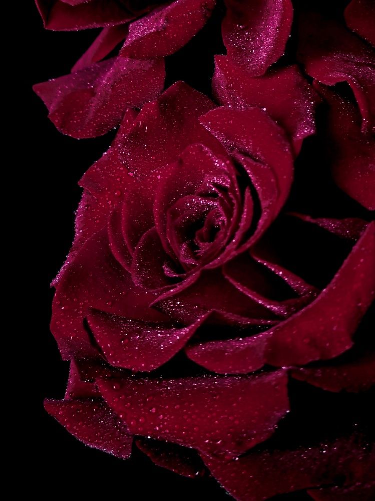 Photograph by Людмила Григорьева