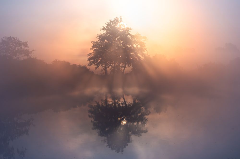 Foggy morning, Fehrbellin