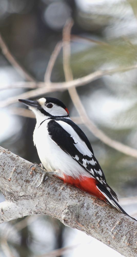 Photograph by Александр