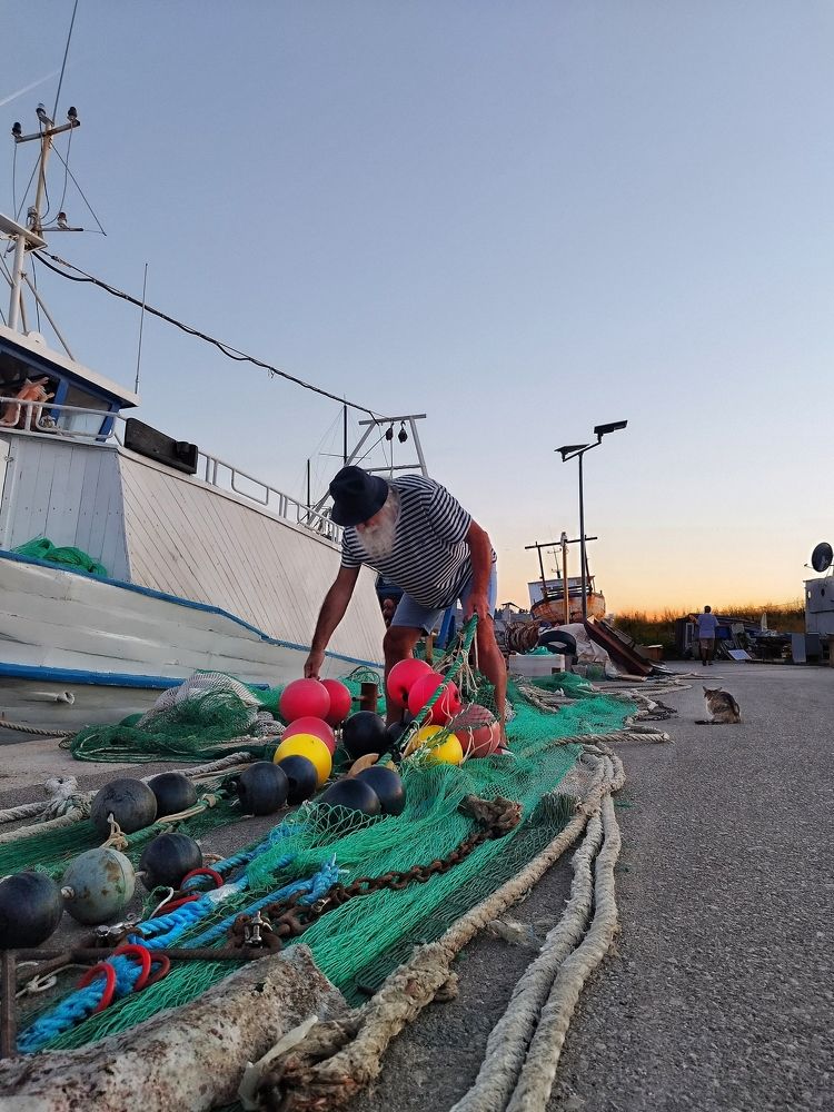 Фотография автора JELENA VASIC