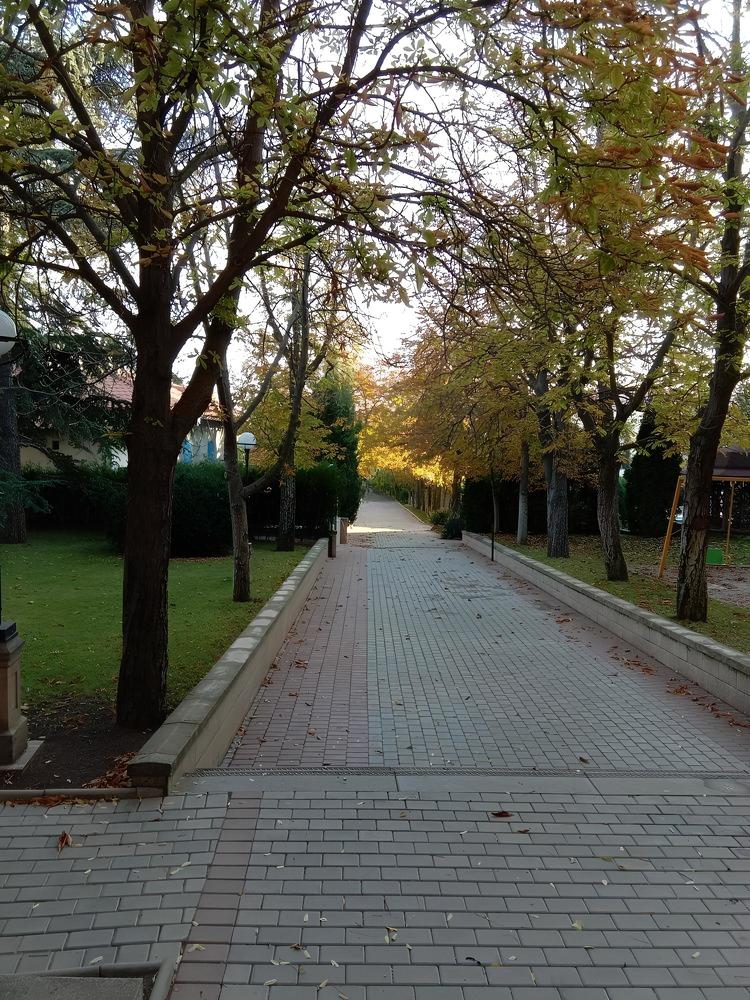 Photograph by Татьяна Стаскевич