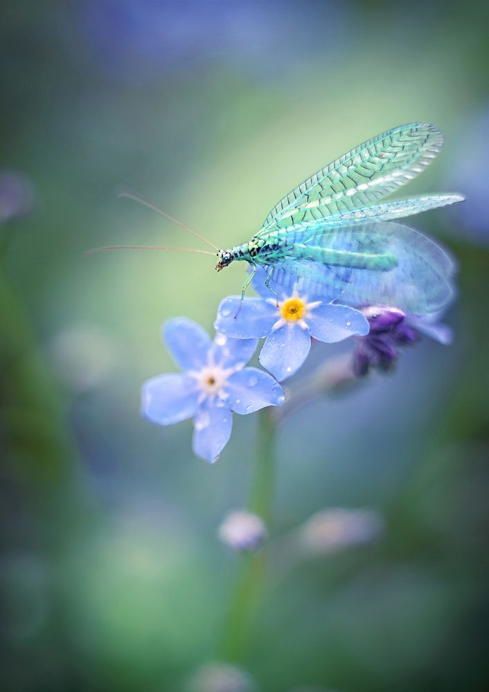 Photograph by Dana S.