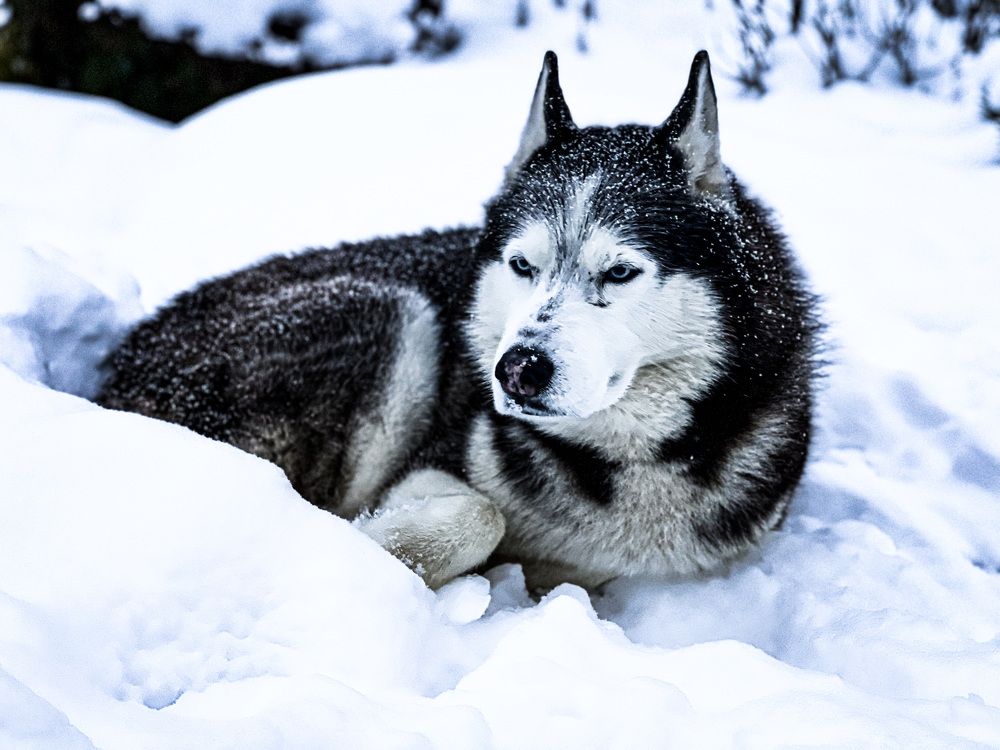 Photograph by Maxim Komissarov