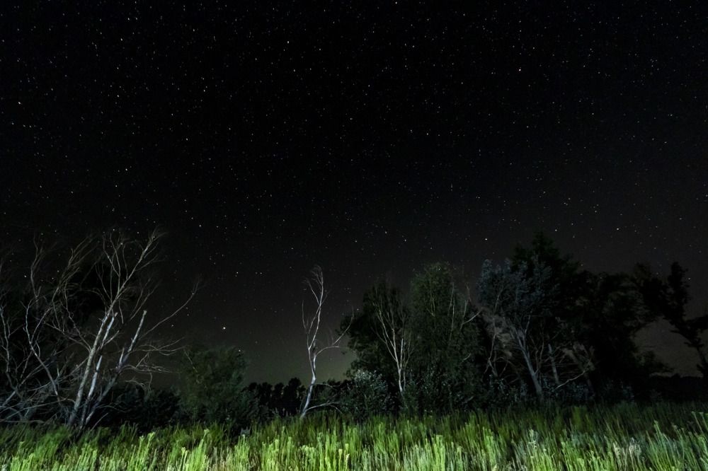 Photograph by Иван Горгуленко