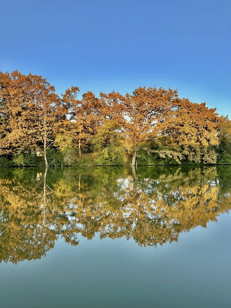 Отражение осени