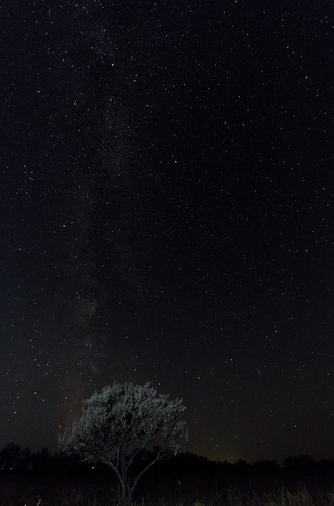 Photograph by Иван Горгуленко