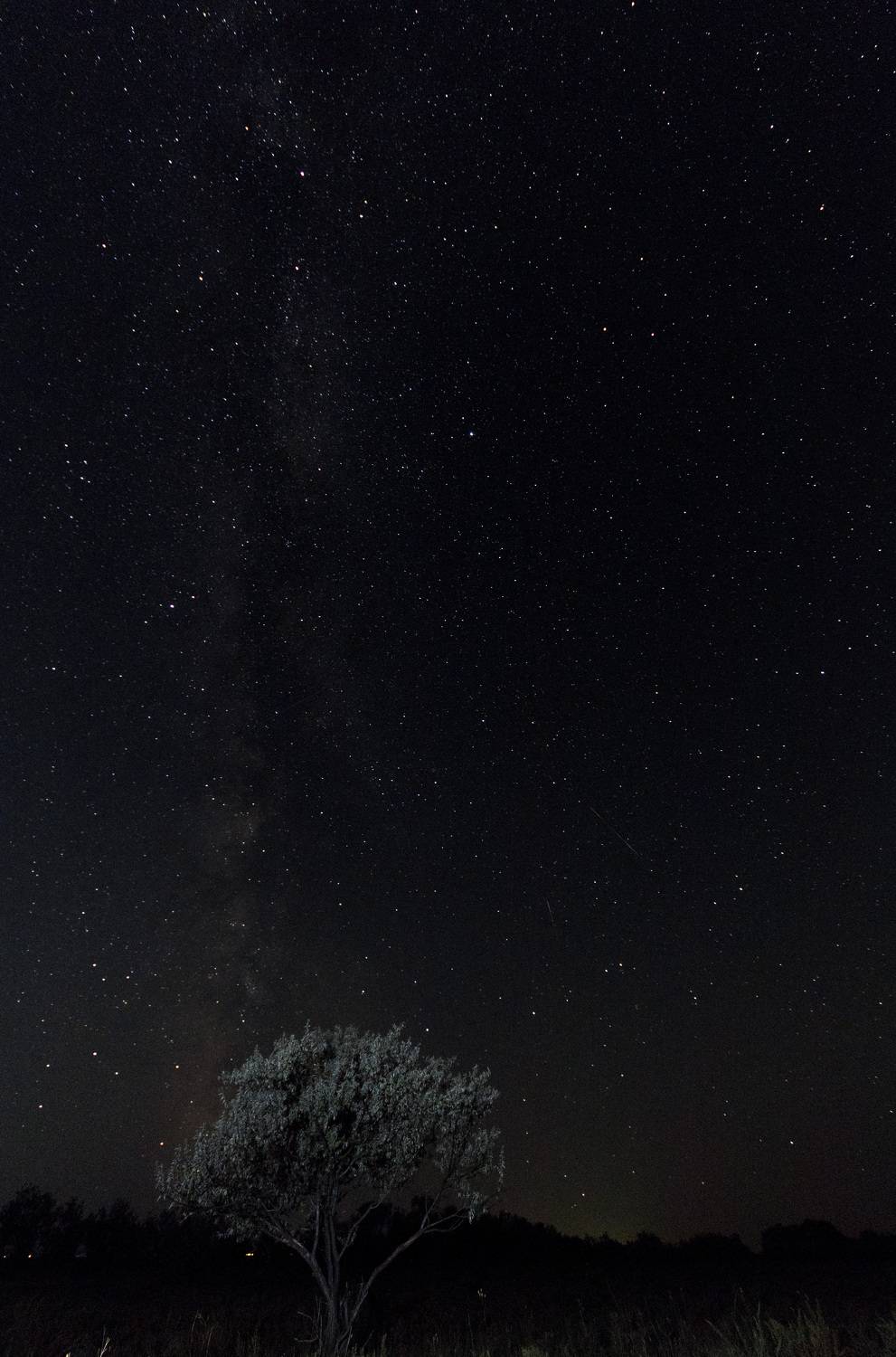 Photo #9521683