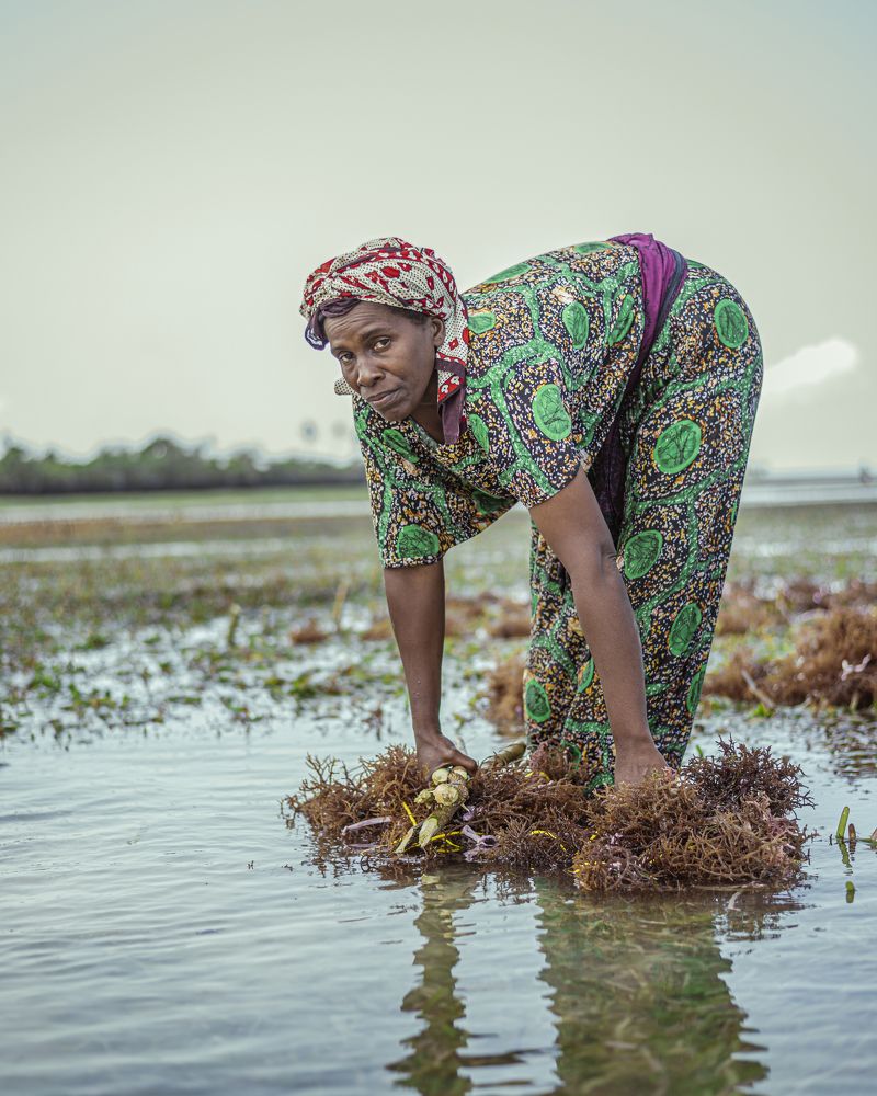 Photograph by Michael Mathias Jonathan