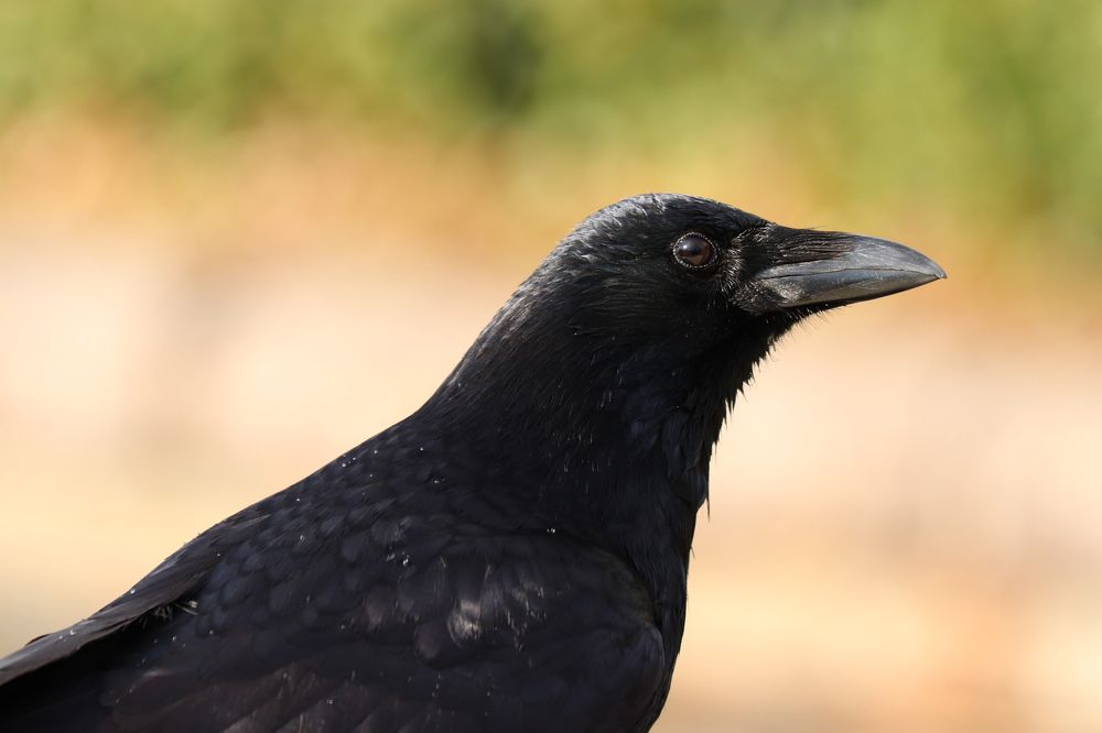 Photograph by Se Lena