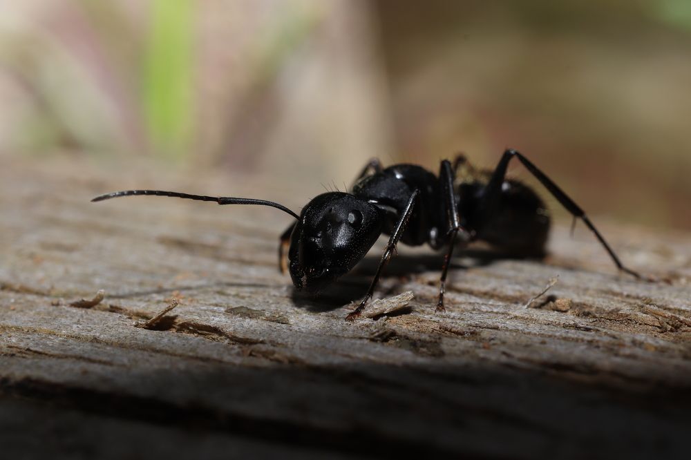 Photograph by Se Lena