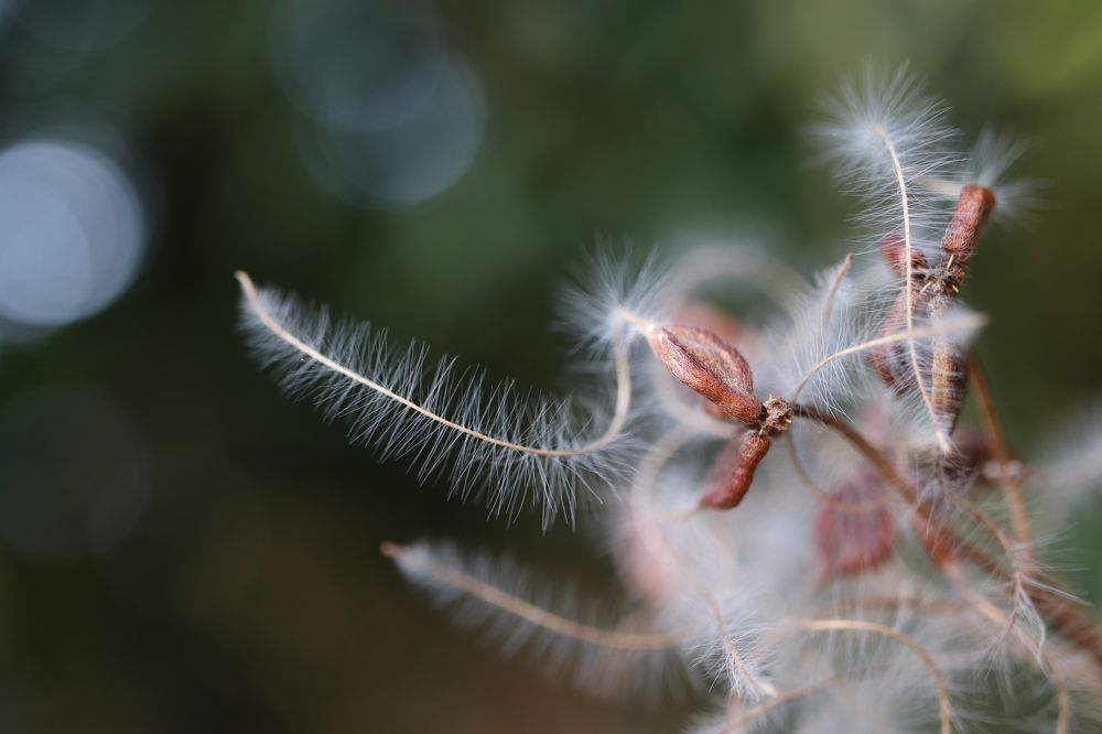 Photograph by Se Lena