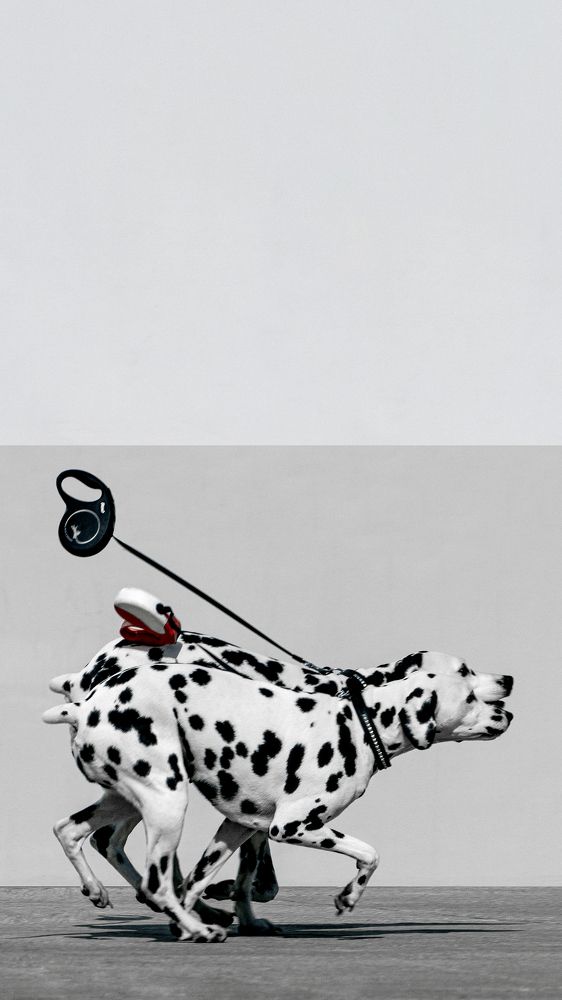 Photograph by Марлен Маан