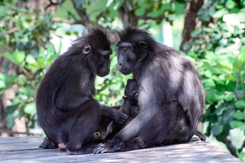 Photograph by Victor Belokrinitski