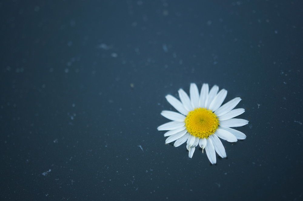 Photograph by Надежда Яковлева