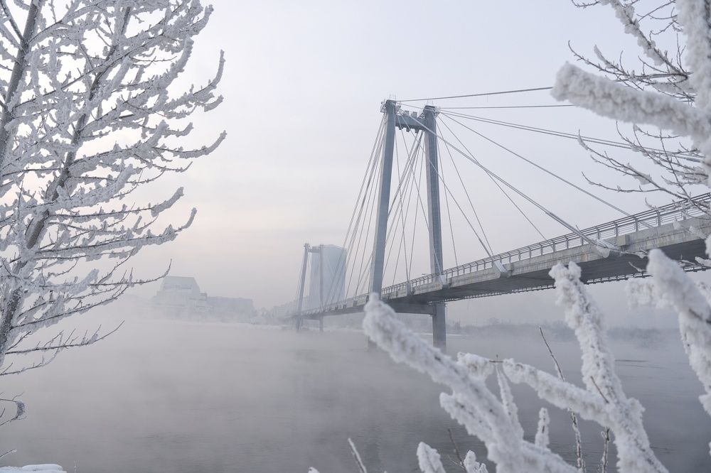 Виноградовский мост.
