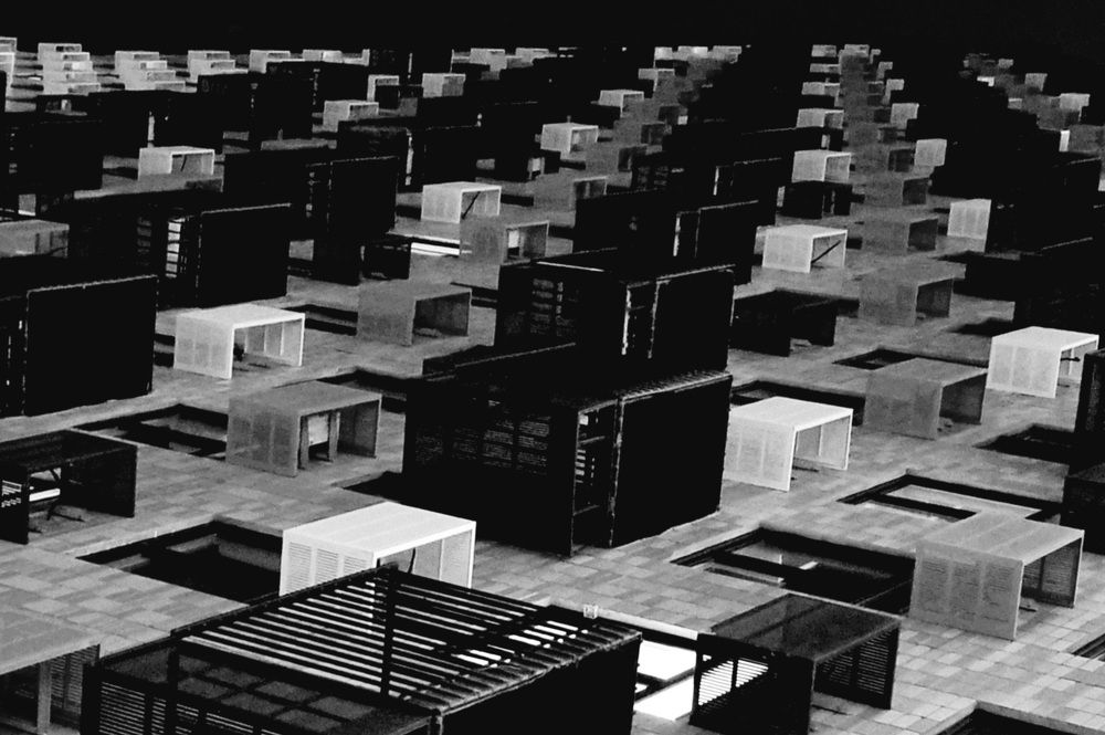 Photograph by Marie G