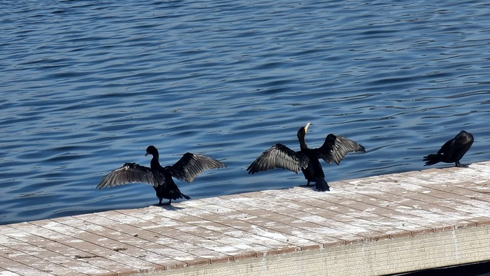 Photograph by Marie G