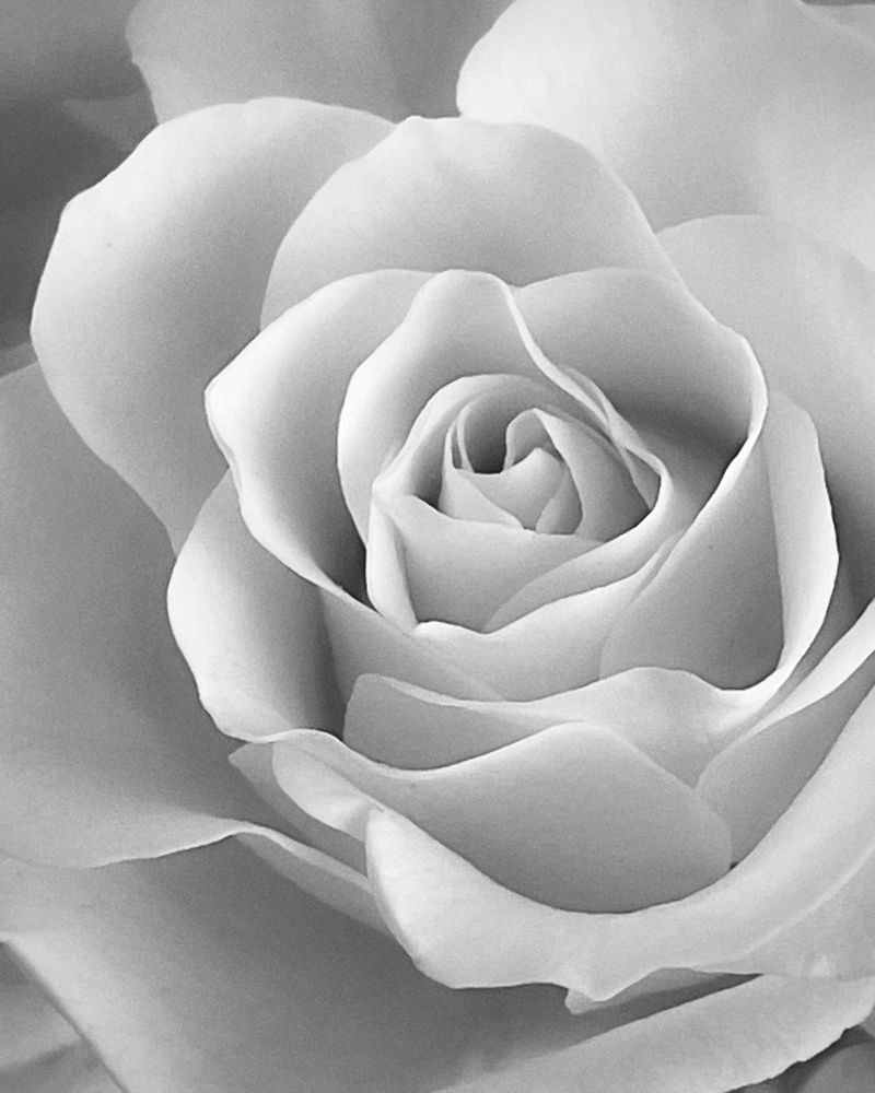 Фотография автора Рамзия Хисамутдинова