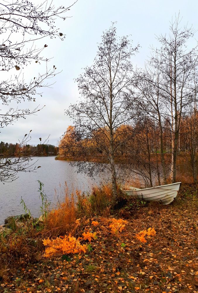 Photograph by Надежда Кудрявцева