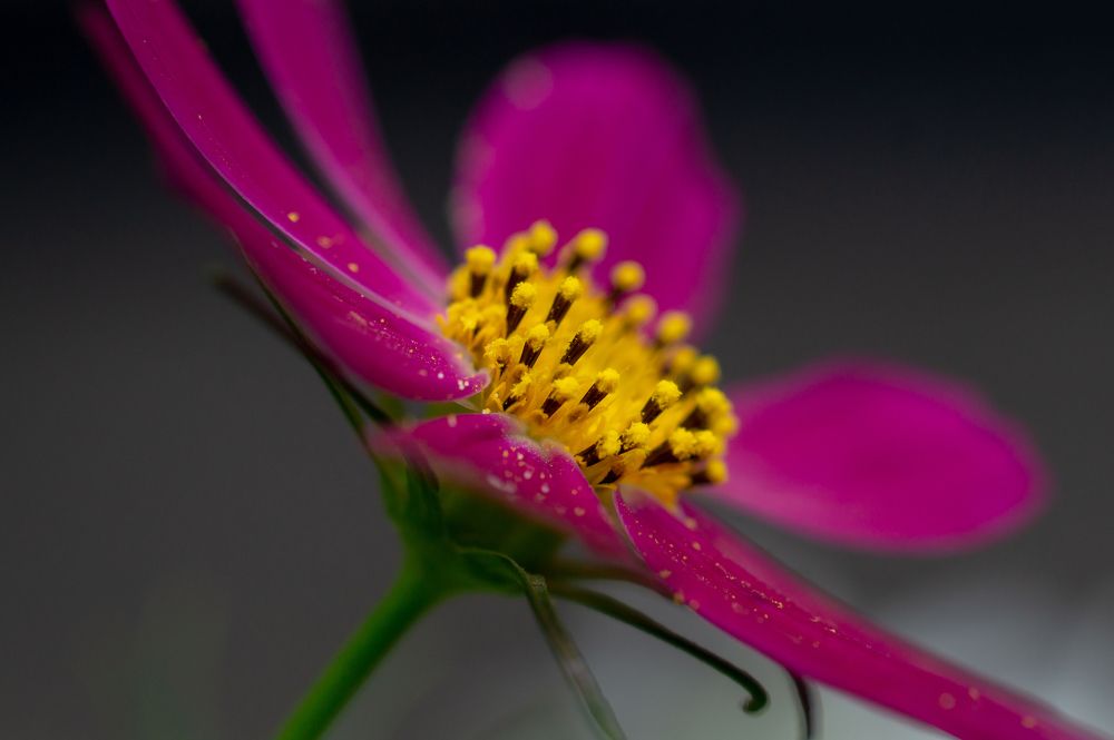 Photograph by Виталий Маслов