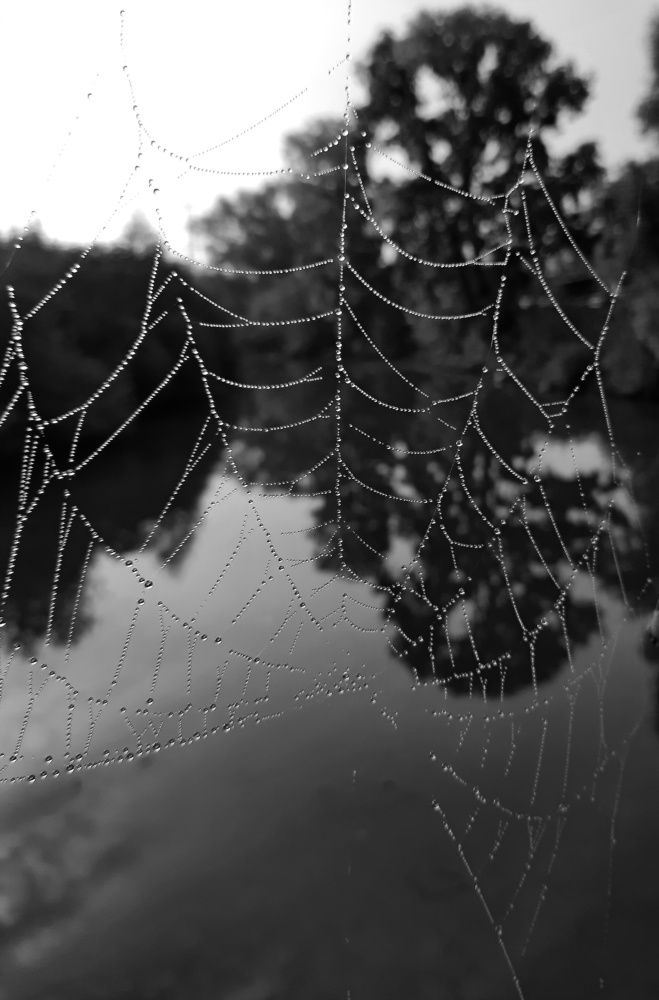 Фотография автора Ольга Кунакова