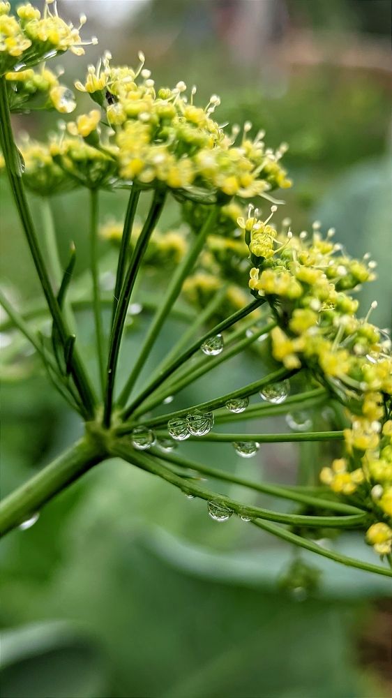 Фотография автора Васильева Ирина