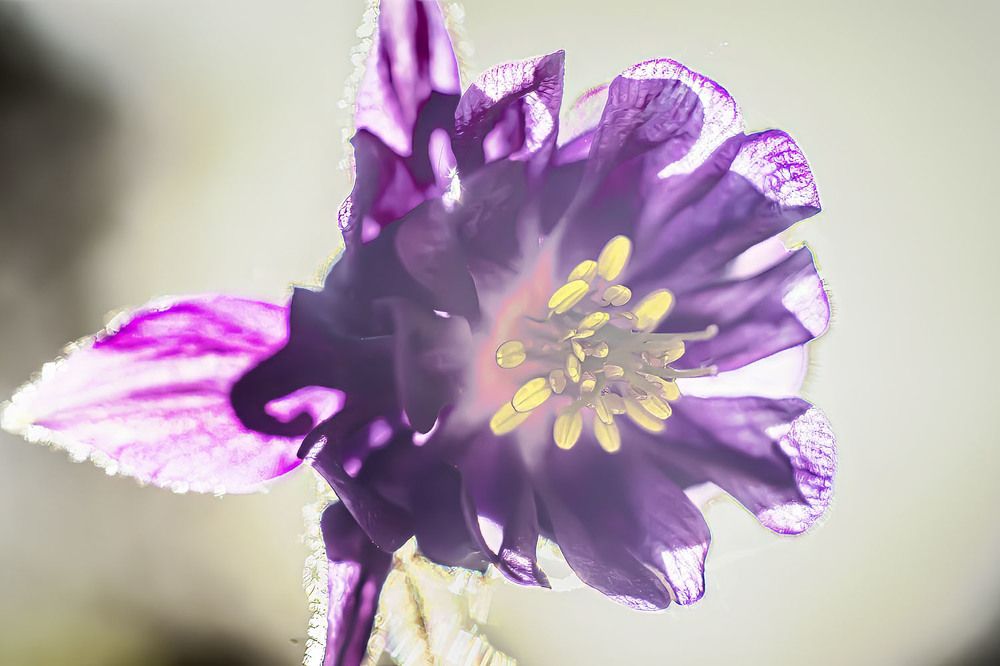 Photograph by миша