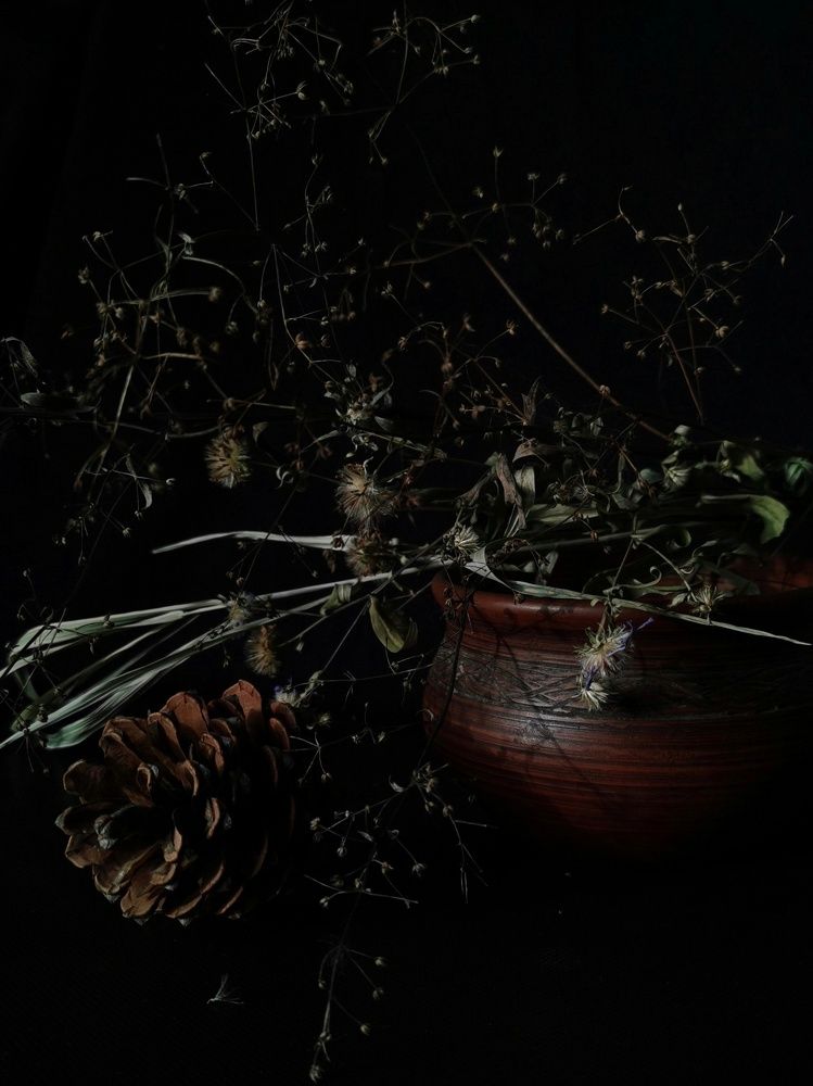 Photograph by Наталья Круглова