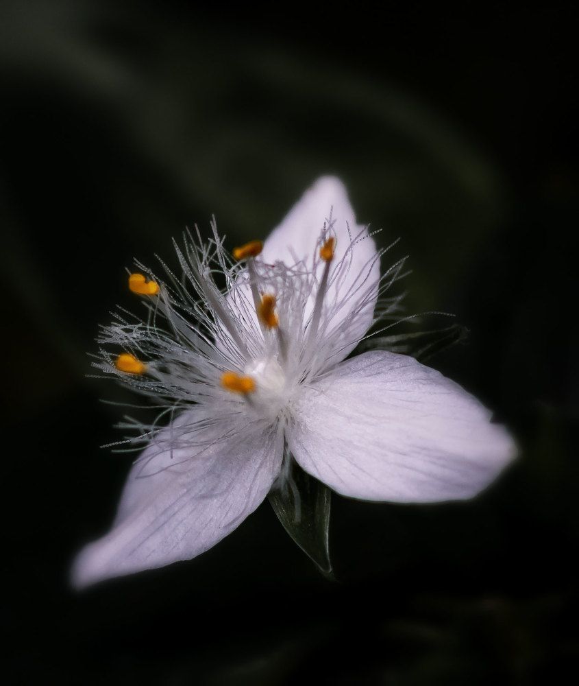 Photograph by Басалаев Евгений