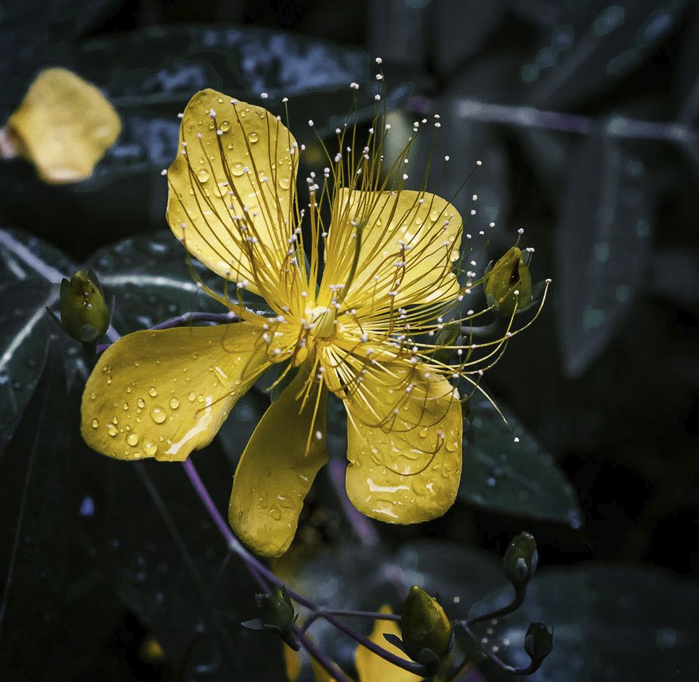 Photograph by Басалаев Евгений