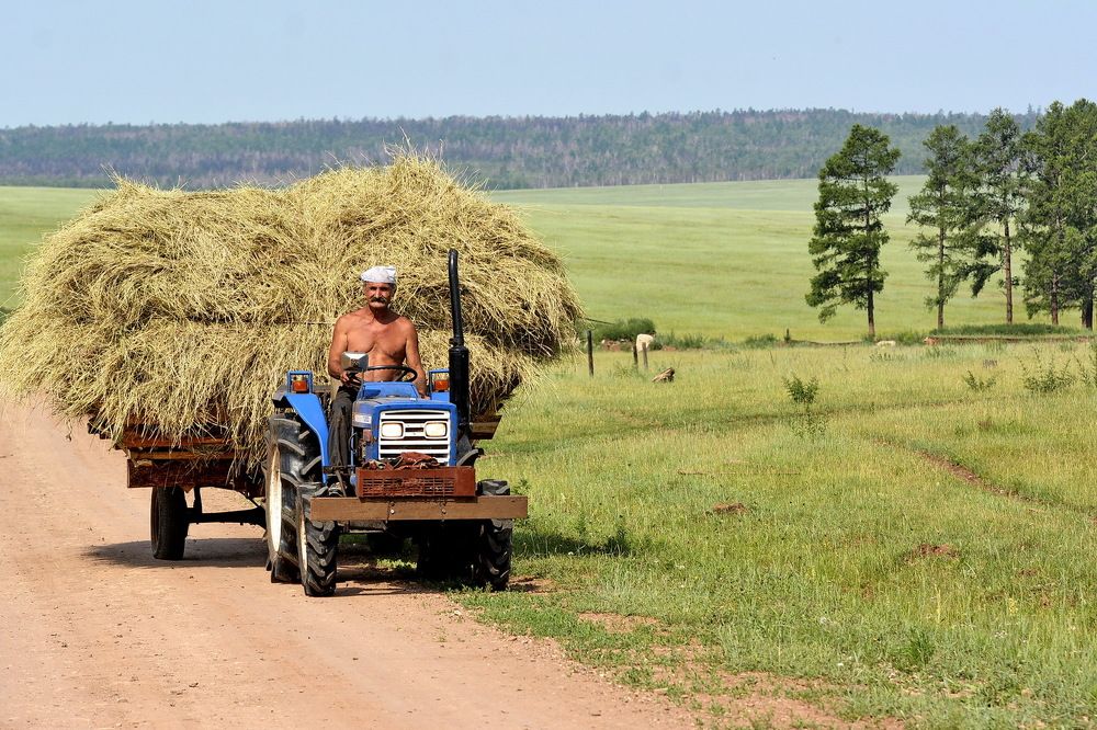 Photograph by Юрий Назыров