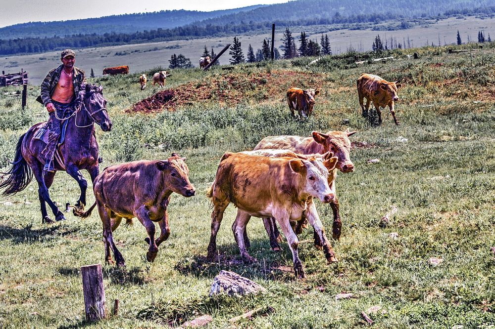 Photograph by Юрий Назыров