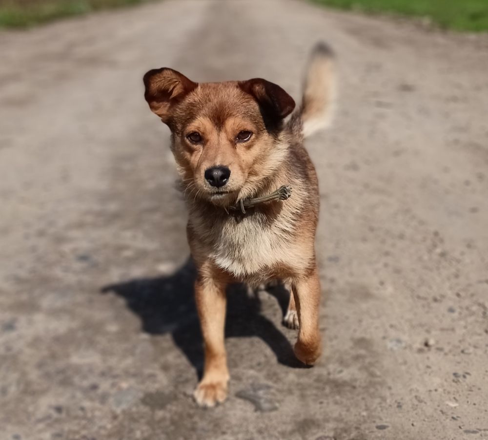 Photograph by Анастасия Горбачева