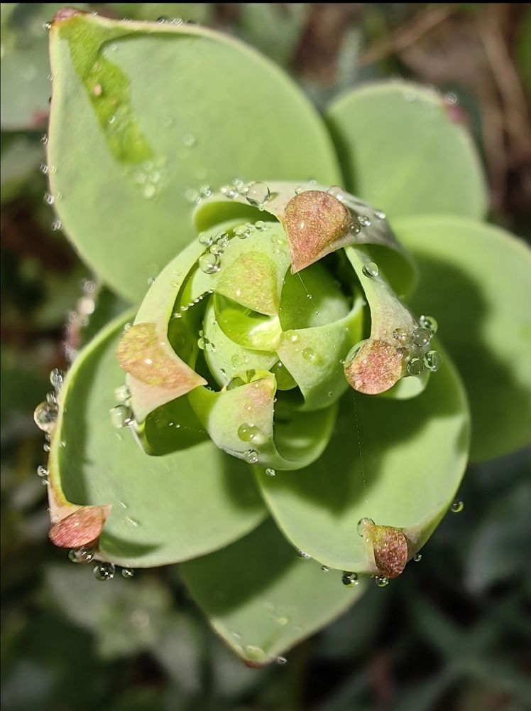 Photograph by Ирина Тихая