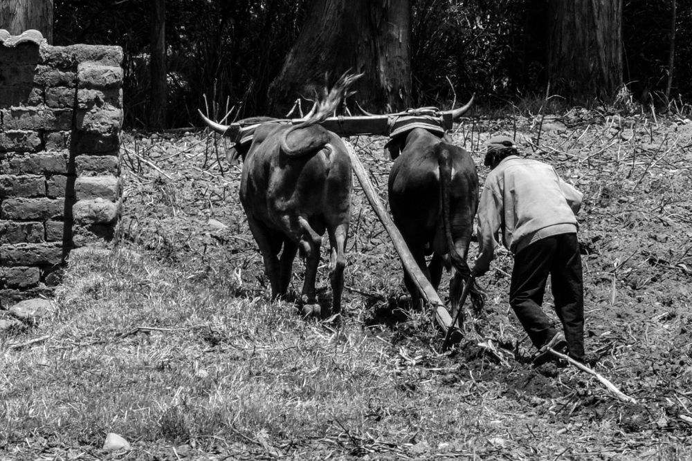 Photograph by Ricardo Kimmich