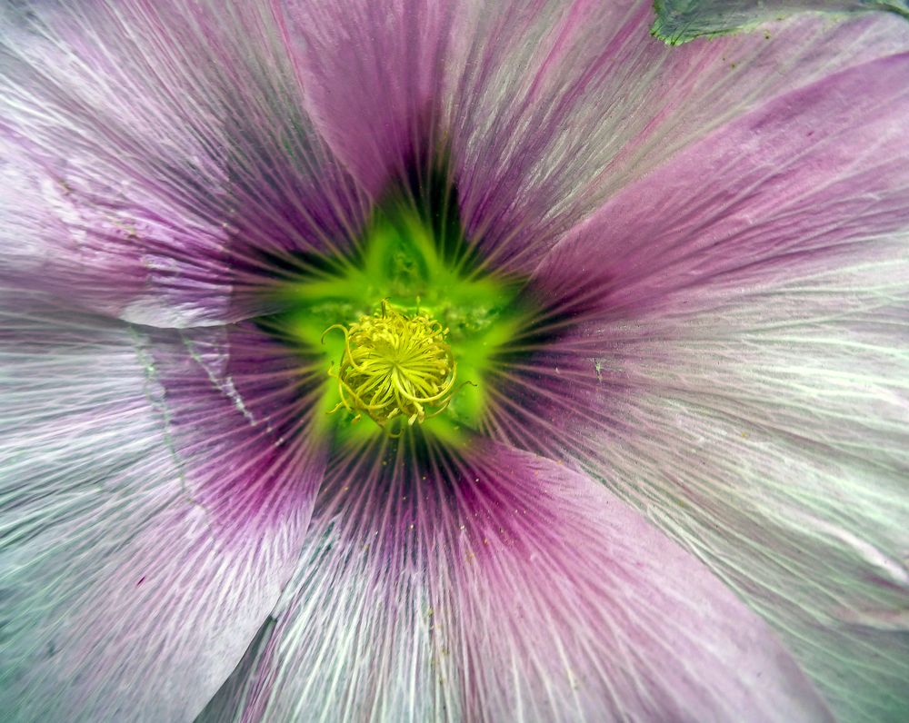 Photograph by Valery Kleymenov