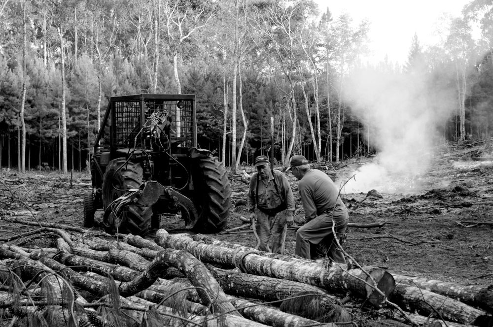 Фотография автора Ricardo Kimmich