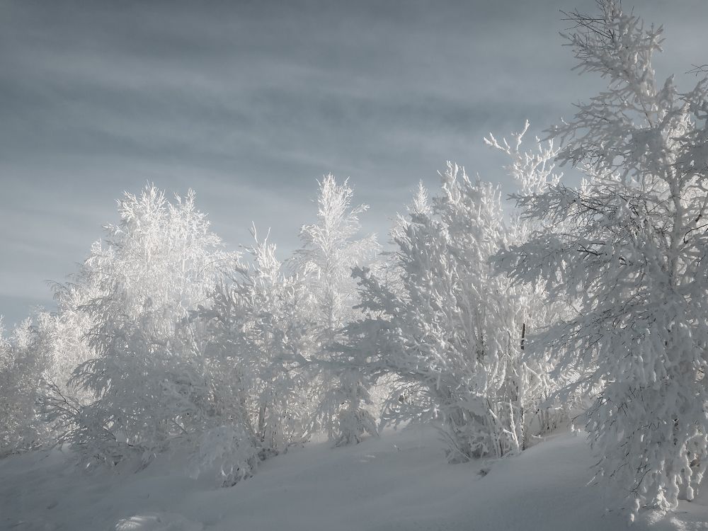 Photograph by Константин Пешков