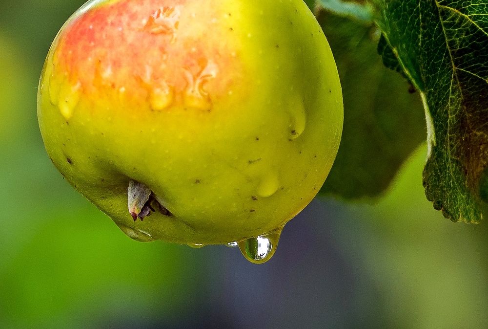 Photograph by Valery Kleymenov