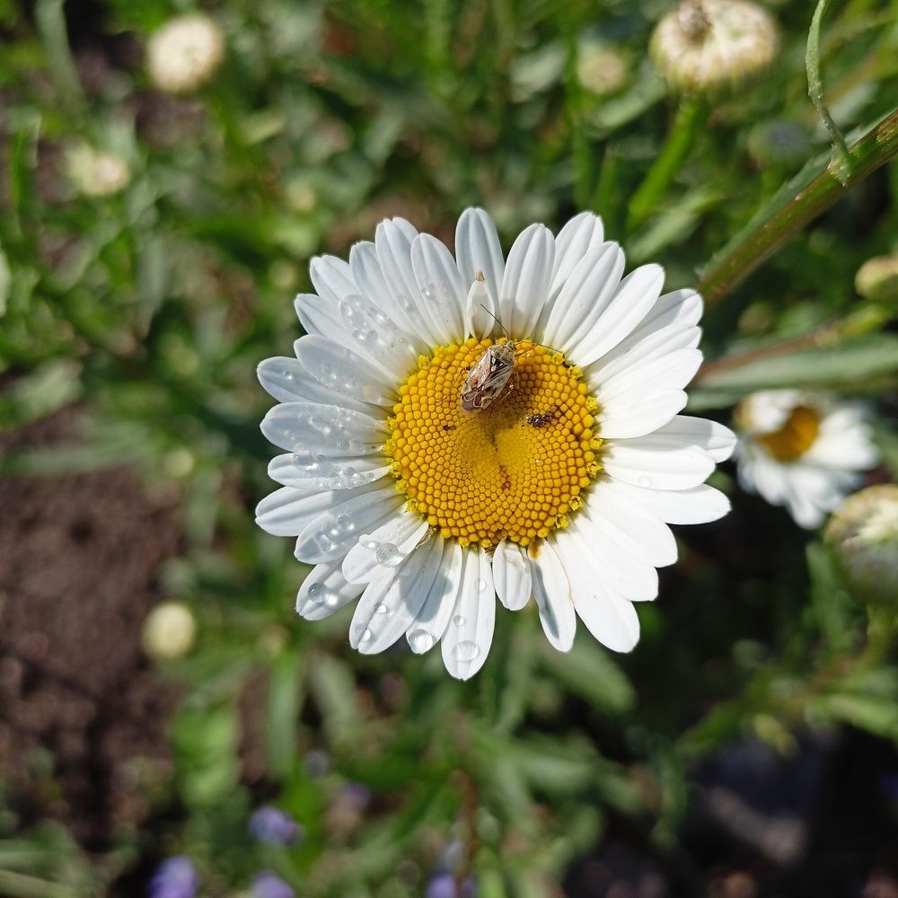 Photograph by Анастасия Горбачева