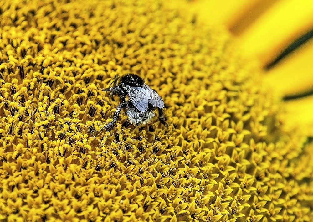 Photograph by Valery Kleymenov