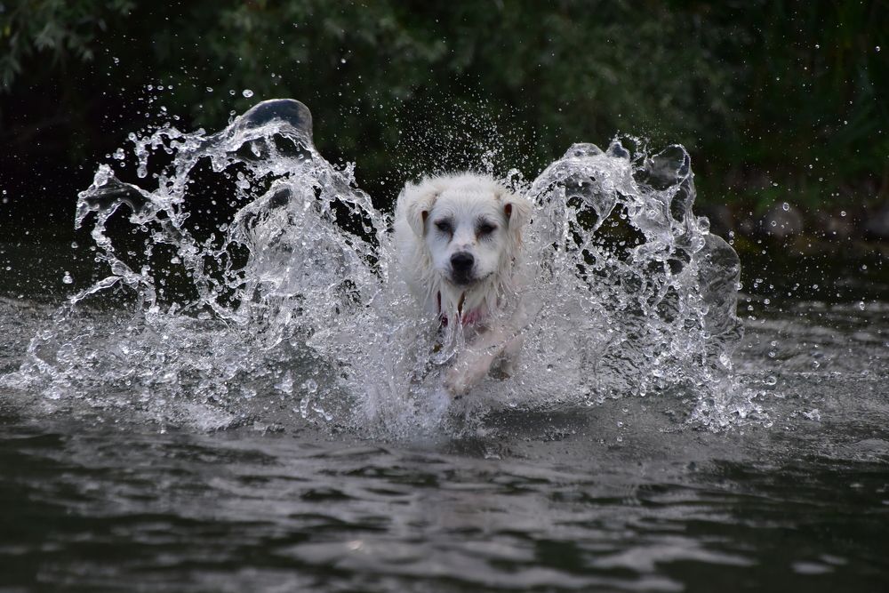 Photograph by Светлана Ивановна
