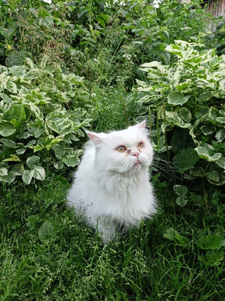 Photograph by Анастасия Горбачева