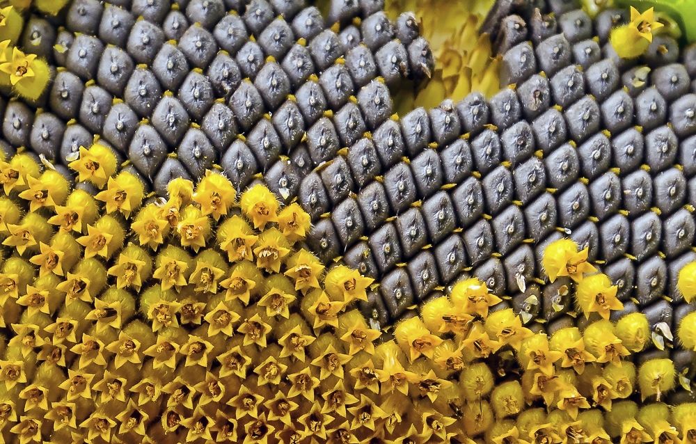 Photograph by Valery Kleymenov