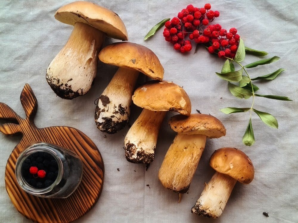 Photograph by Елена Квасова