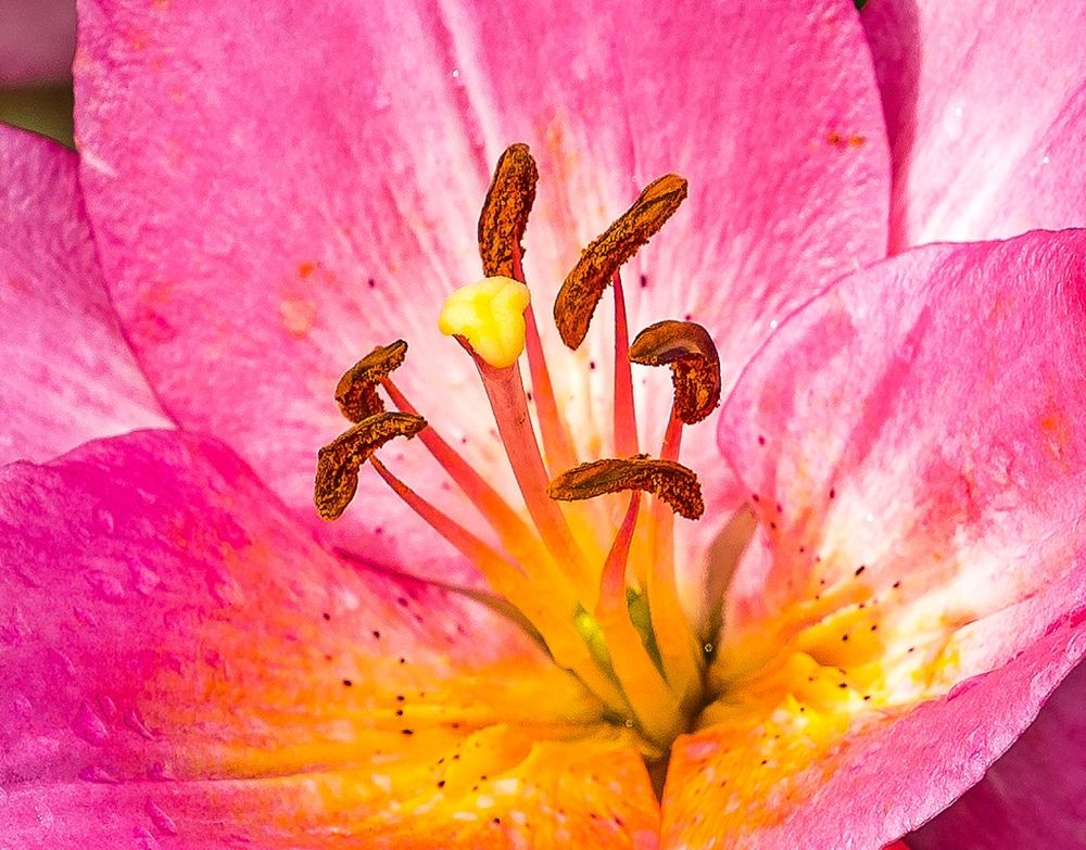 Photograph by Valery Kleymenov