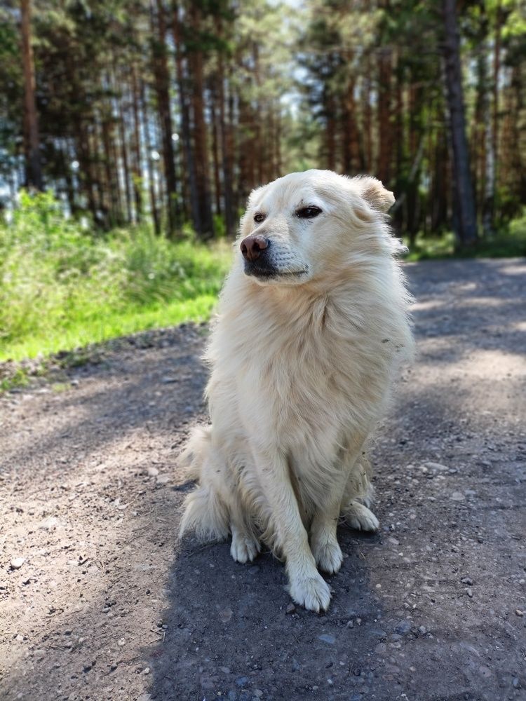 Photograph by Анастасия Горбачева