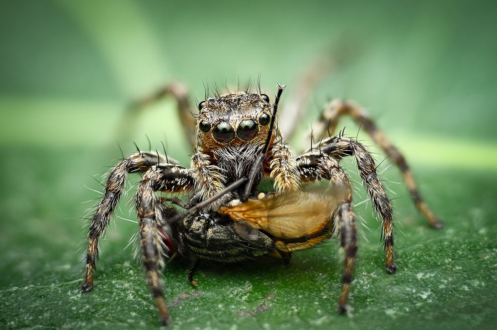 Photograph by Hoàng Nguyễn