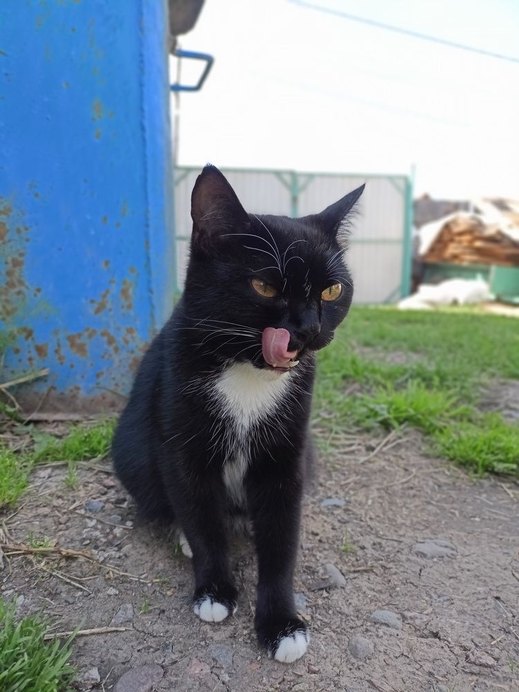 Photograph by Анастасия Горбачева