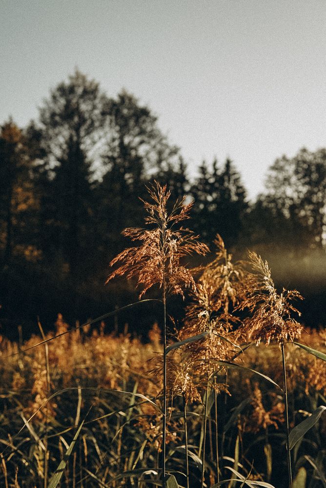 Photograph by Анастасия Черкасова